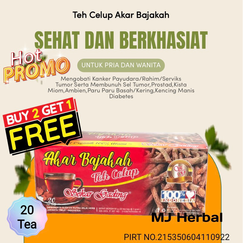 

Teh Celup Kayu Bajakah Asli Kalimantan Kualitas Premium