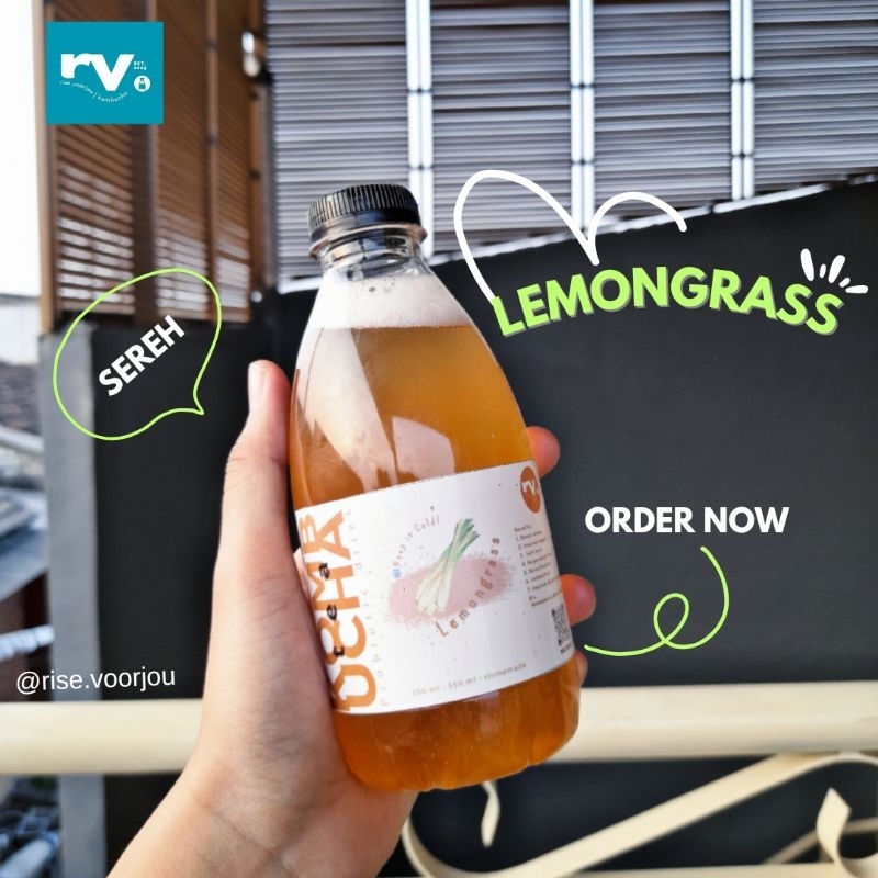 

Probiotic Kombucha Tea | 350 ml [ LEMONGRASS ] Sereh | Serai | Detox | Teh Kombucha | rise.voorjou | Minuman Probiotik