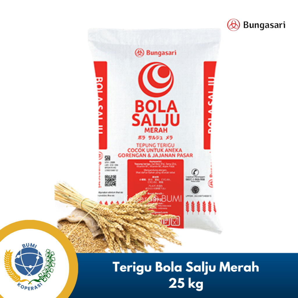 

RK60 Tepung Terigu Bungasari Bola Salju Merah 25 Kg