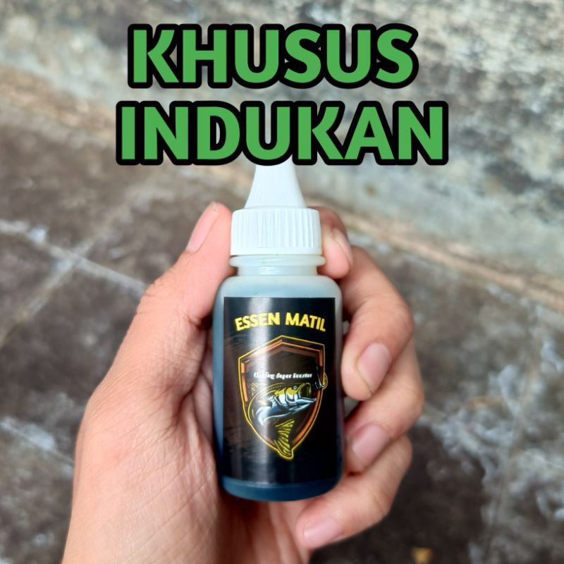 Essen ikan mas spesial indukan khusus indukan