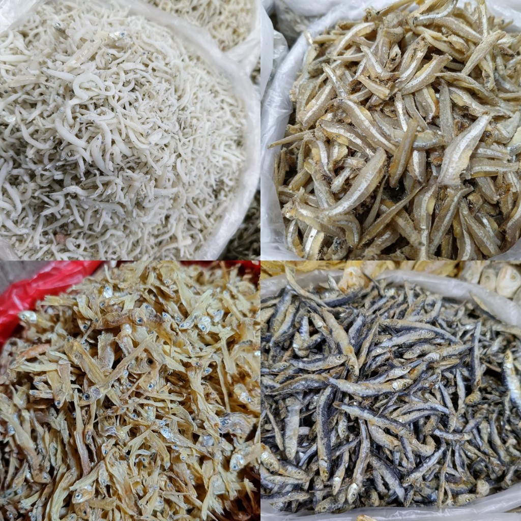 

BERBAGAI TERI 1 ONS teri medan, teri buntio, teri belang, teri jengki, teri padang