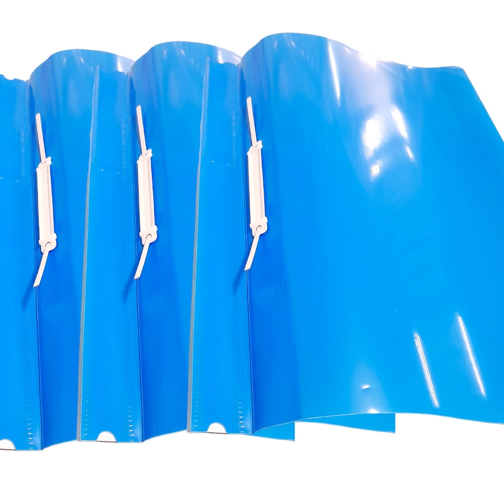 

(1pk 12pcs) Business File Folio transparant - Carinex