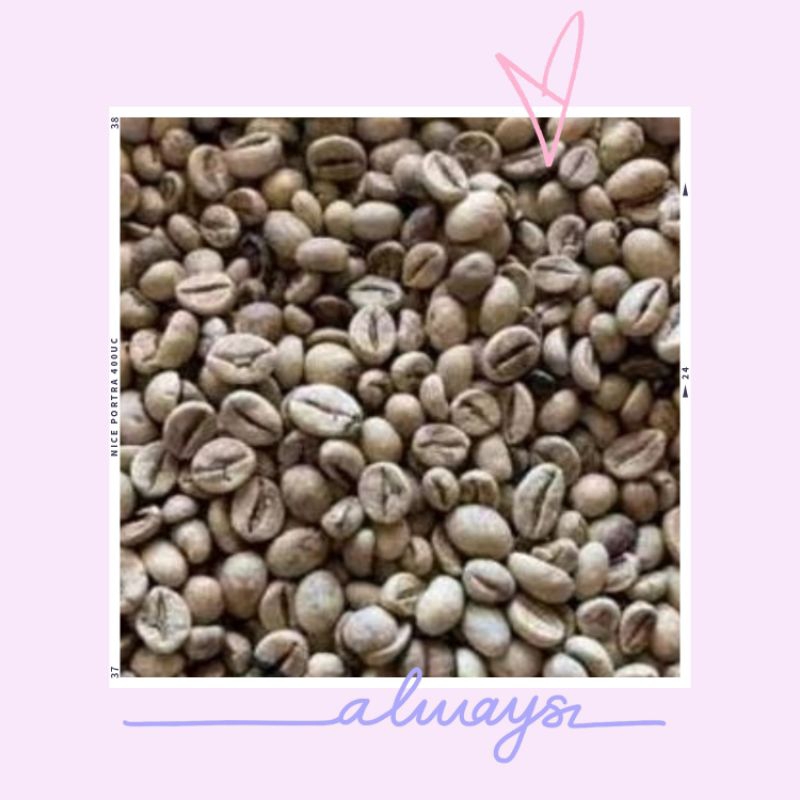 

kopi mentah no.1 premium