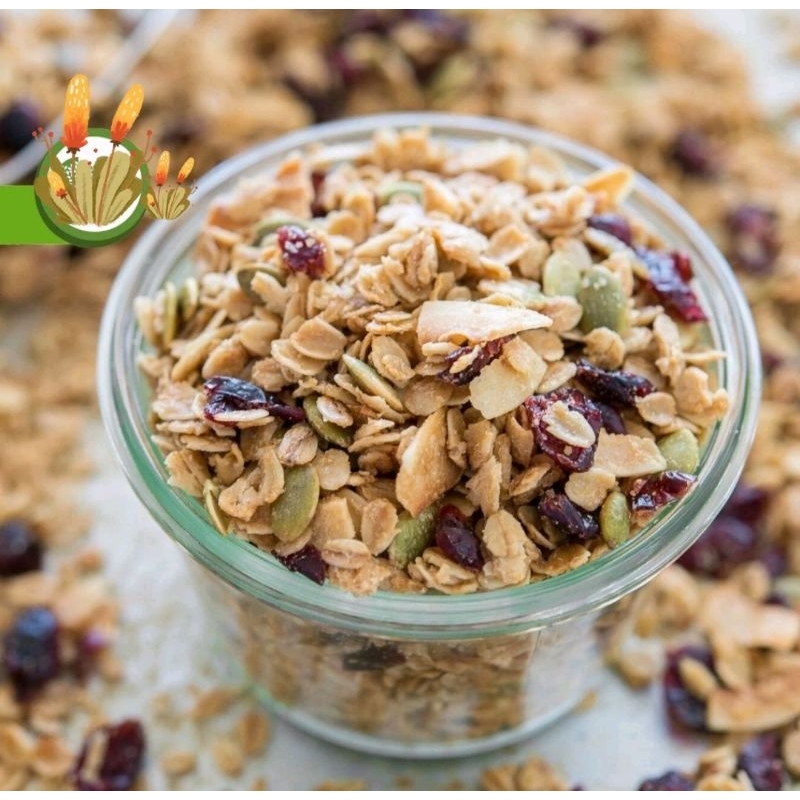 

Granola Raw Mix Muesli Trail Mix Organik 100gr
