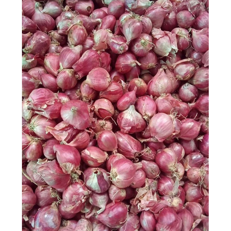 

Bawang Merah Per 1 KG Segar Stock Baru