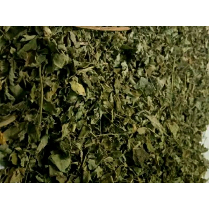 

daun kelor kering original jemur mata hari