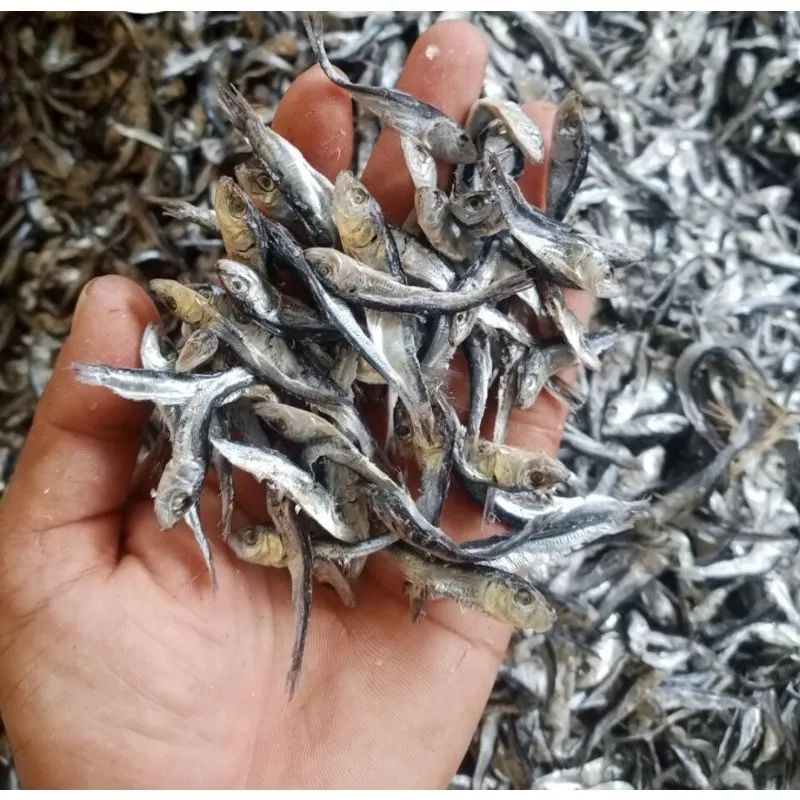 

ikan asin lemet 500 gram