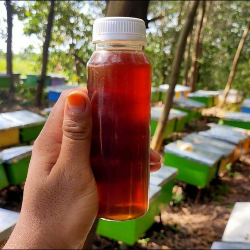 

Madu kelengkeng 350 gram