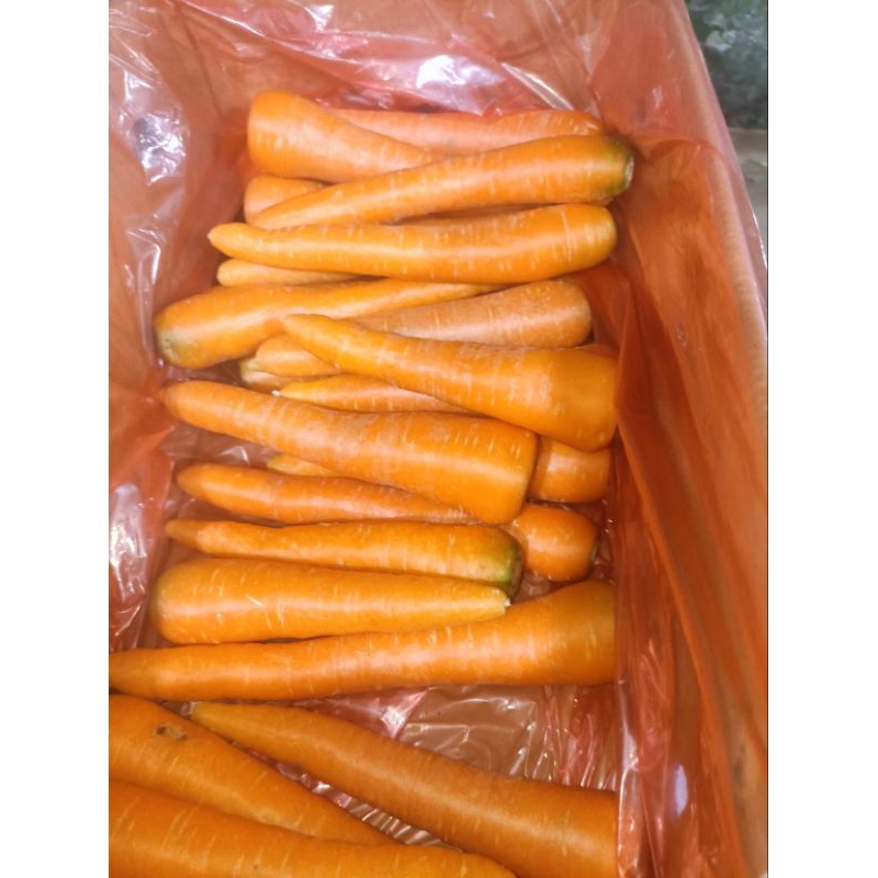 

Wortel Import / Brastagi