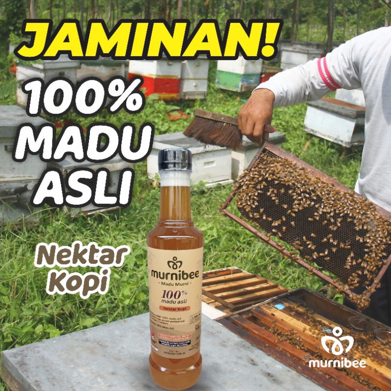 

Murnibee Madu Nektar Bunga Kopi 100% Asli Murni dari Lebah 500 gram Alami Tanpa Campuran Raw Honey