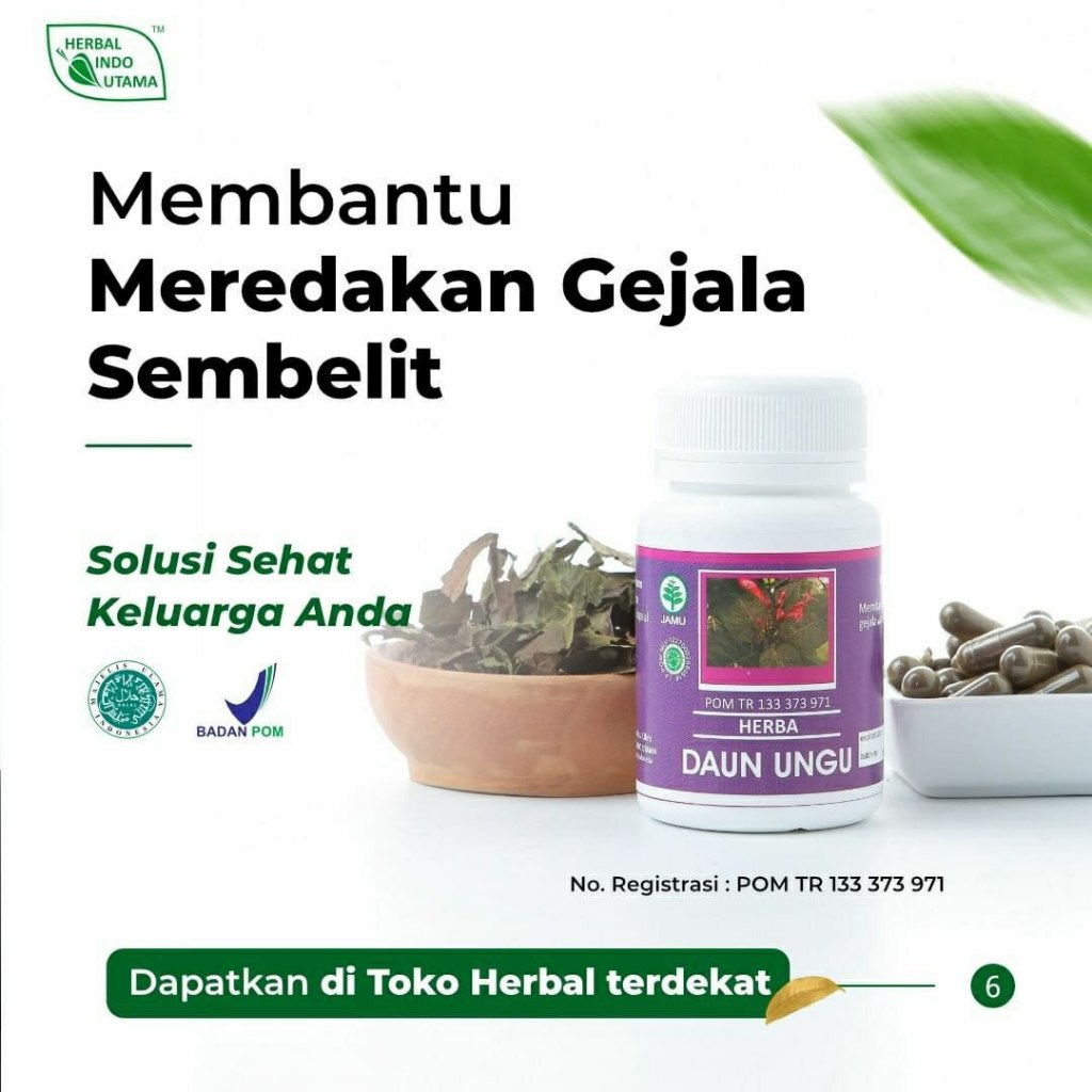 

Herba Daun Ungu HIU