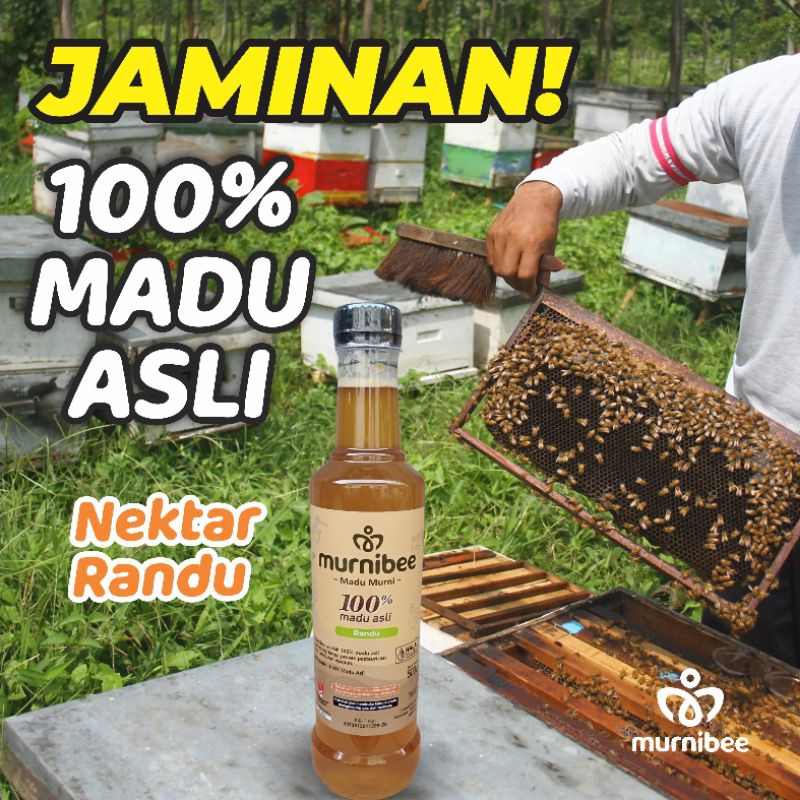 

Murnibee Madu Nektar Randu 100% Asli Murni dari Lebah 500 gram Alami Tanpa Campuran Raw Honey