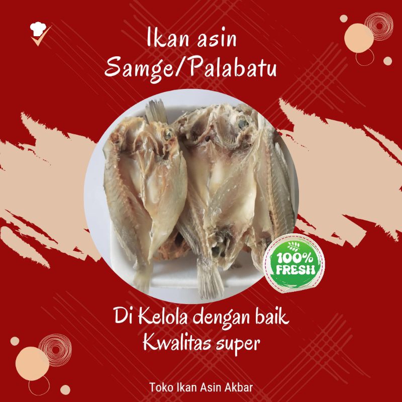 

Ikan asin samge atau palabatu murah