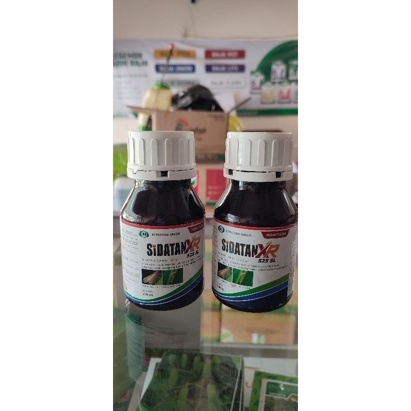 Insektisida sidatan xr 525sl 200ml