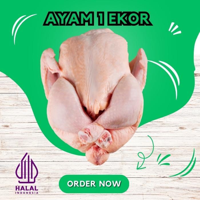 AYAM POTONG BOILER FRESH 1 EKOR  HALAL