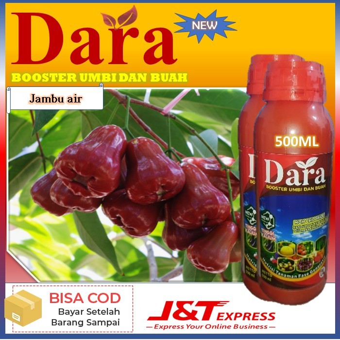 pupuk terbaru dara isi 500ml pupuk untuk tanaman anggur pupuk boster umbi dan buah - manfaat pupuk i