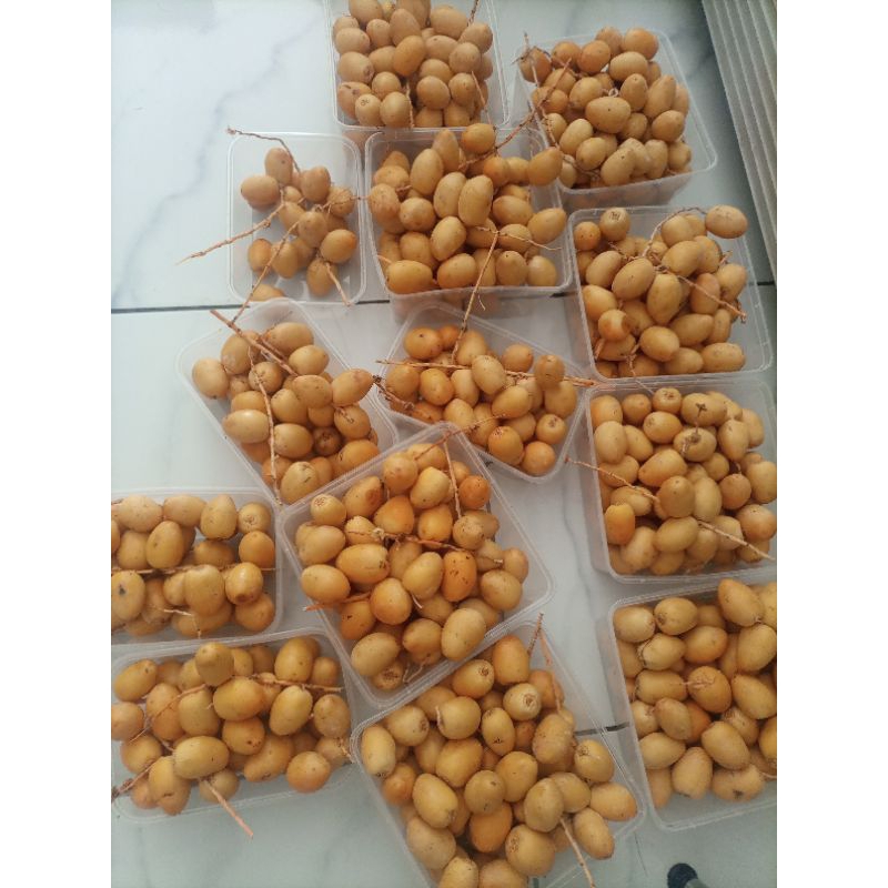 

kurma muda promil fresh bukan Frozen