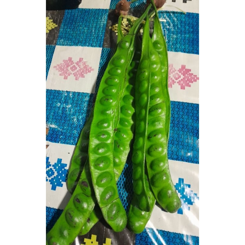 

Petai / Pete 1 papan.