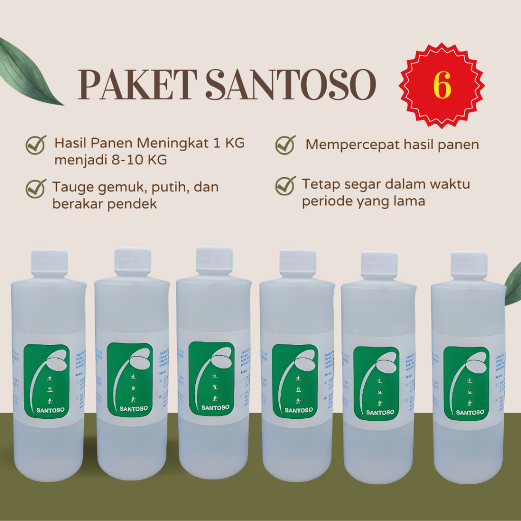 Obat Toge Tauge Santoso Original Impor Langsung