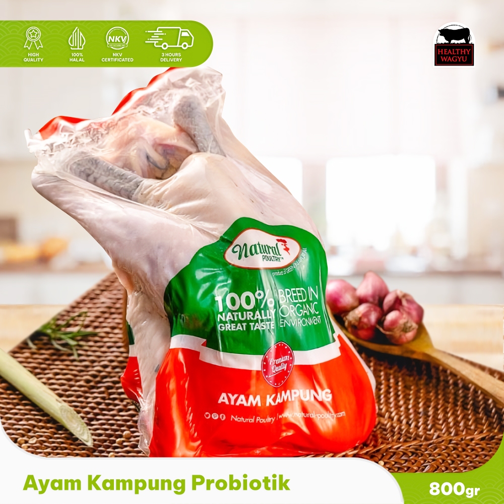 

Ayam Kampung Probiotik Natural Poultry 700-800 Gram Healthy wagyu