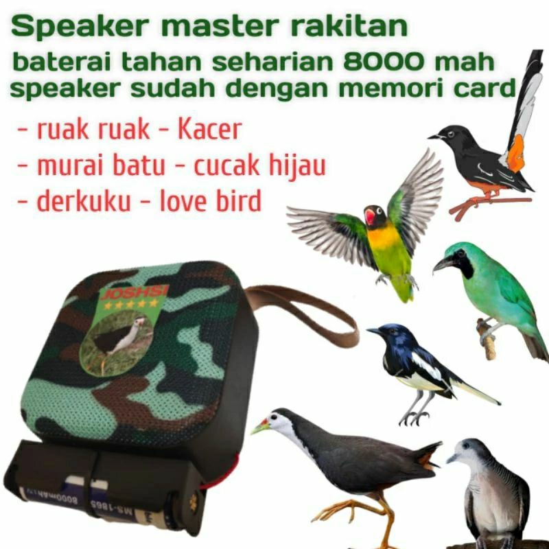 speaker masteran burung kicau mania masteran murai batu kacer ruak ruak cicak hijau