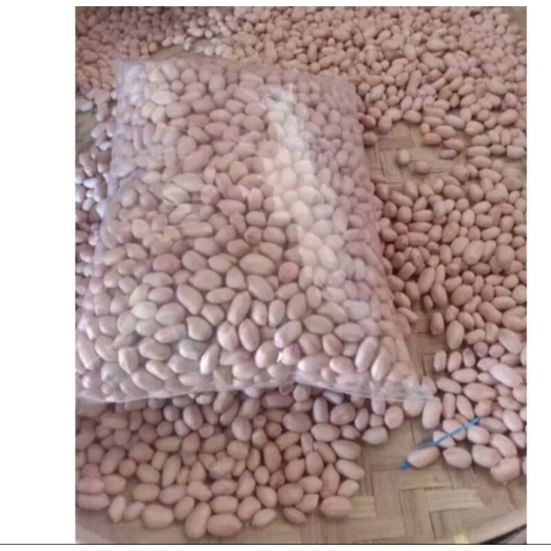 

Kacang Tanah mentah 1 KG