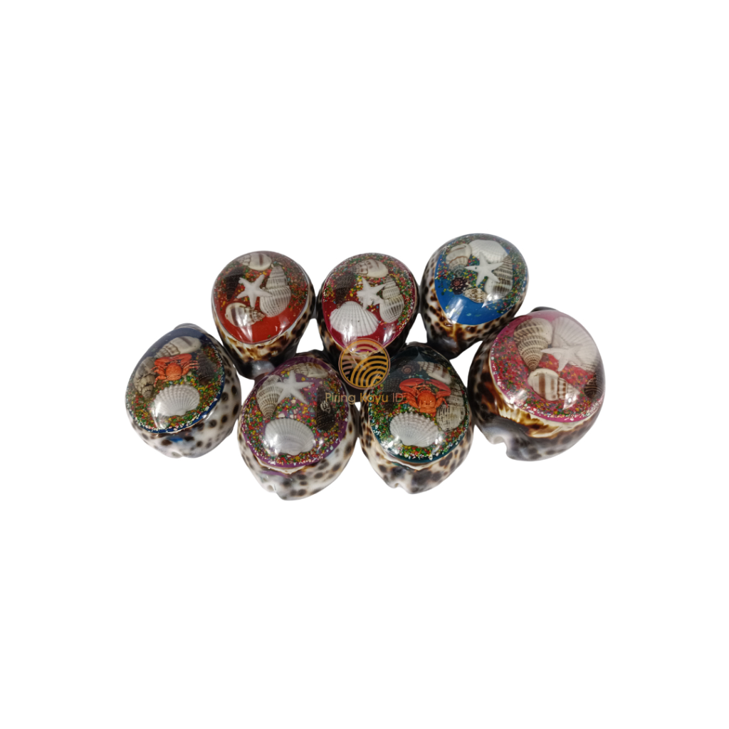 HIASAN KERANG KUWUK SOVENIR KERANG