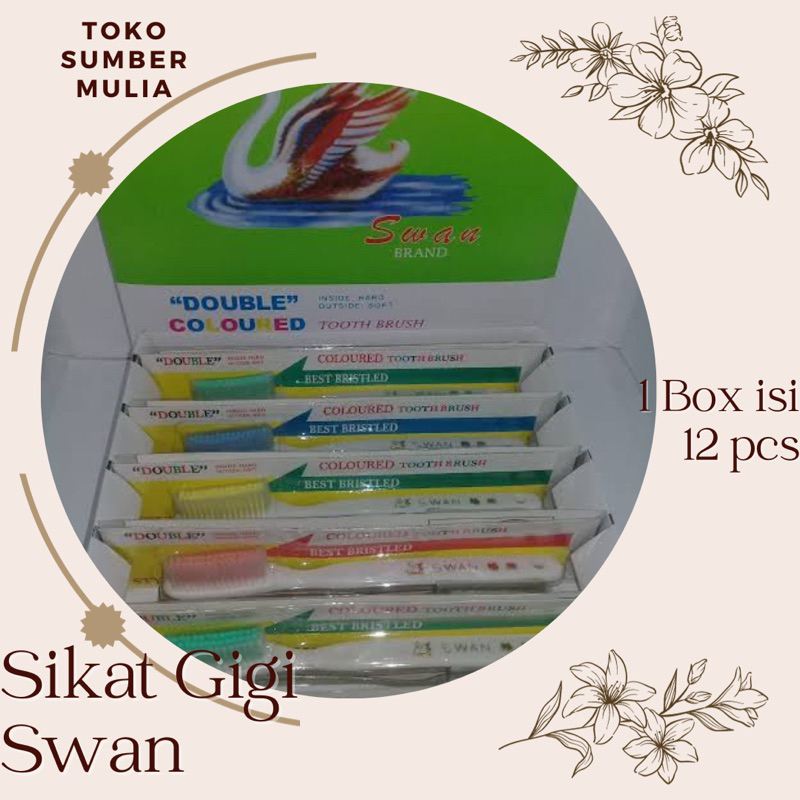 Sikat Gigi Swan 1 Box Isi 12 Pcs