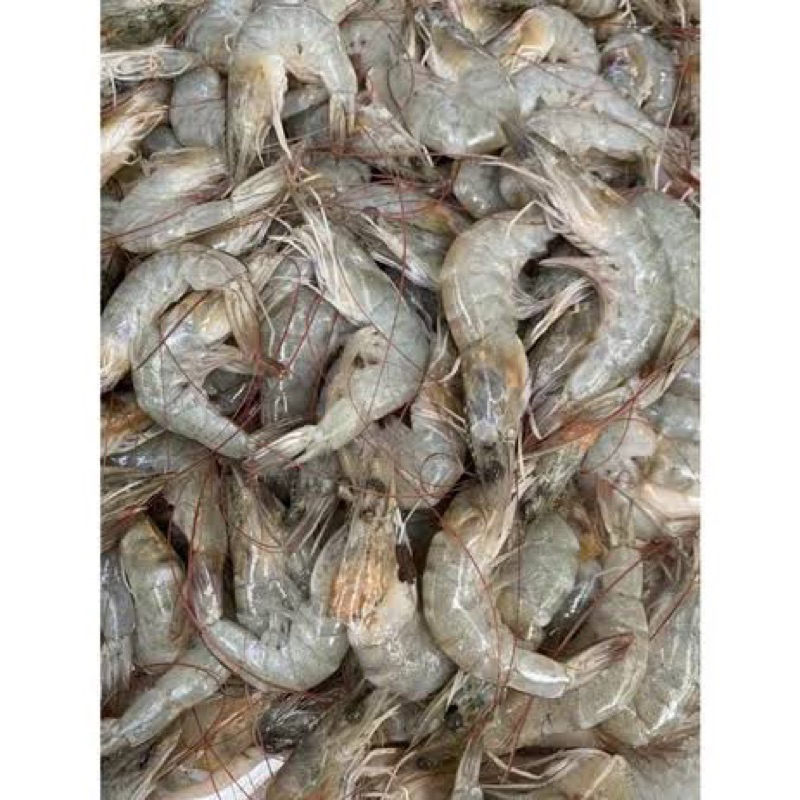 

udang segar 250gr ukuran sedang