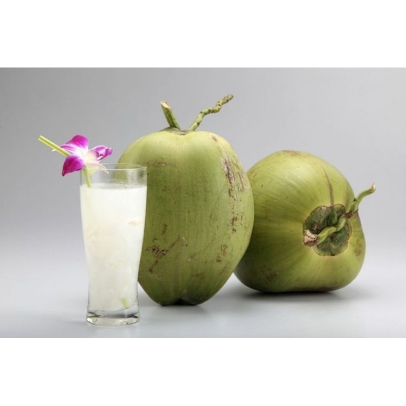 

Kelapa muda/Kelapa hijau/Degan fresh