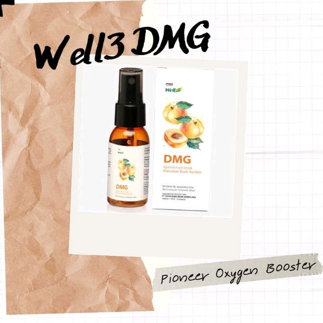 CNI WELL3 DMG