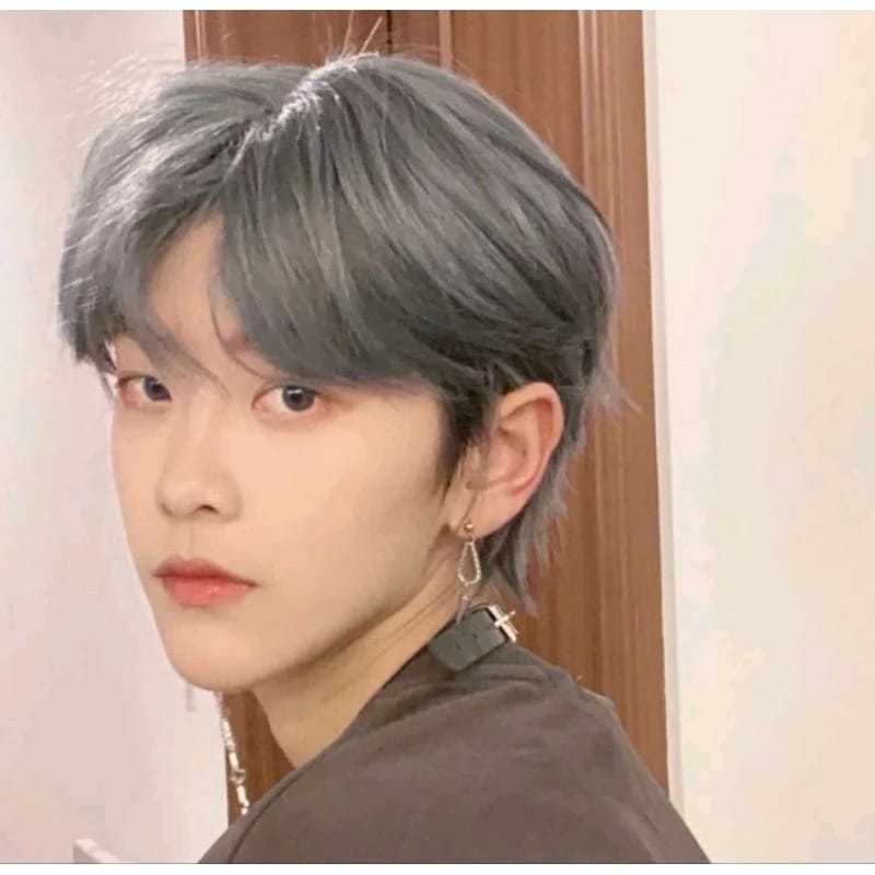 Wig pria grey wig cowo grey wig lakilaki grey wig uban