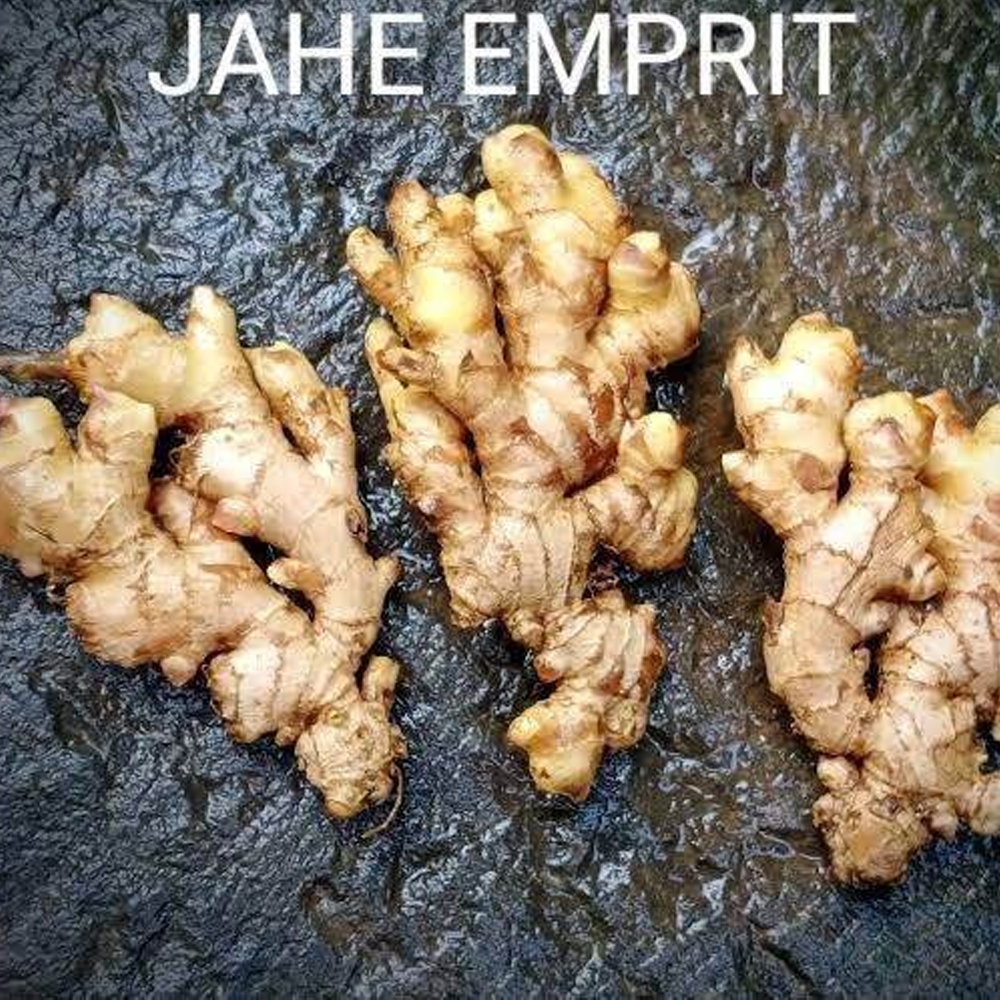 

JAHE EMPRIT SUPER 1Kg Fresh Mantul