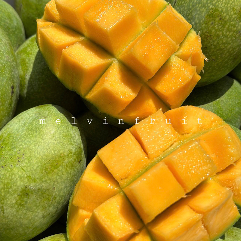 

Mangga Manalagi 1 kg