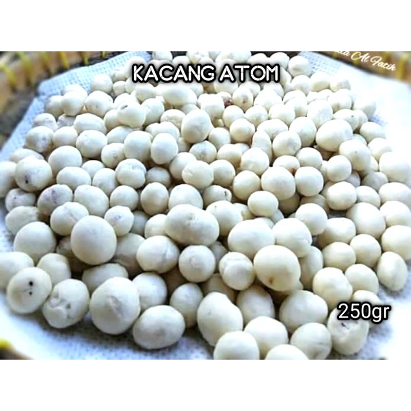 

ILAN DIHYAH SHOP - Kacang atom Sukro 250gr