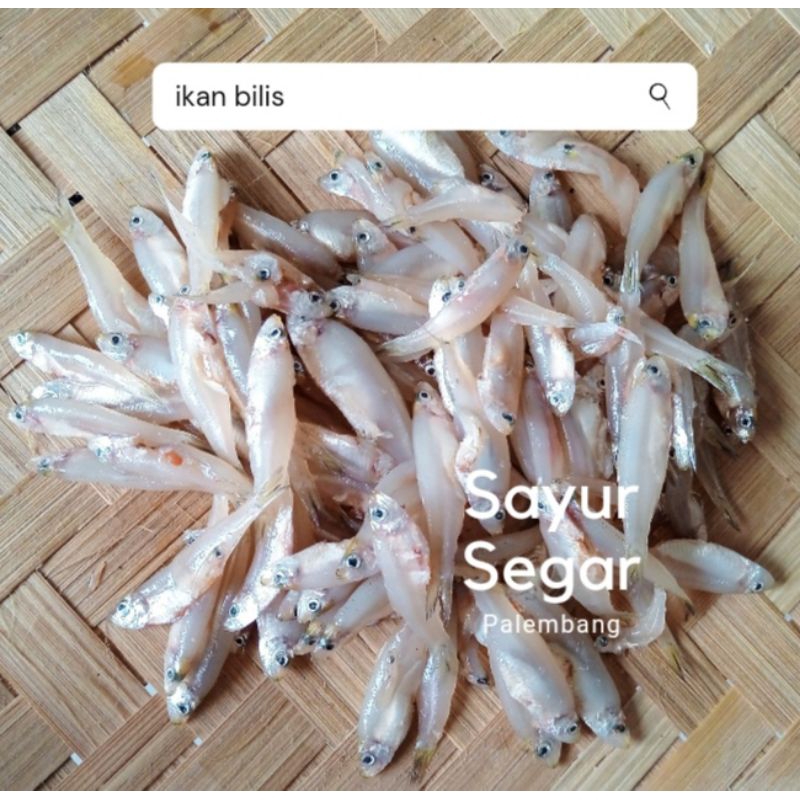 

Ikan Bilis per 250 gr Sayur Segar Palembang