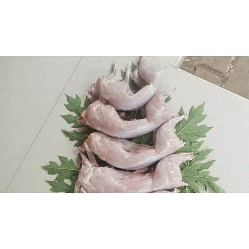 karkas daging kelinci