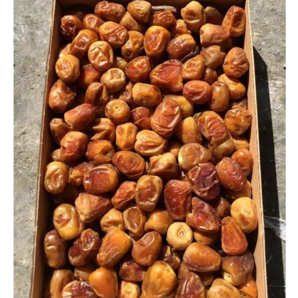 

Baru Sukari 3kg/Kurma Sukari 3kg/Sukari Al Qaseem/Sukkari Al Qassim 3kg