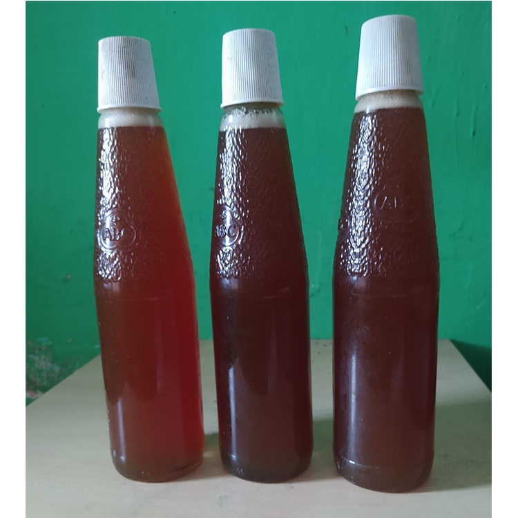 Madu odeng  - Madu lebah hutan - Madu lebah hutan asli - Madu tawon Liar - Madu hutan asli