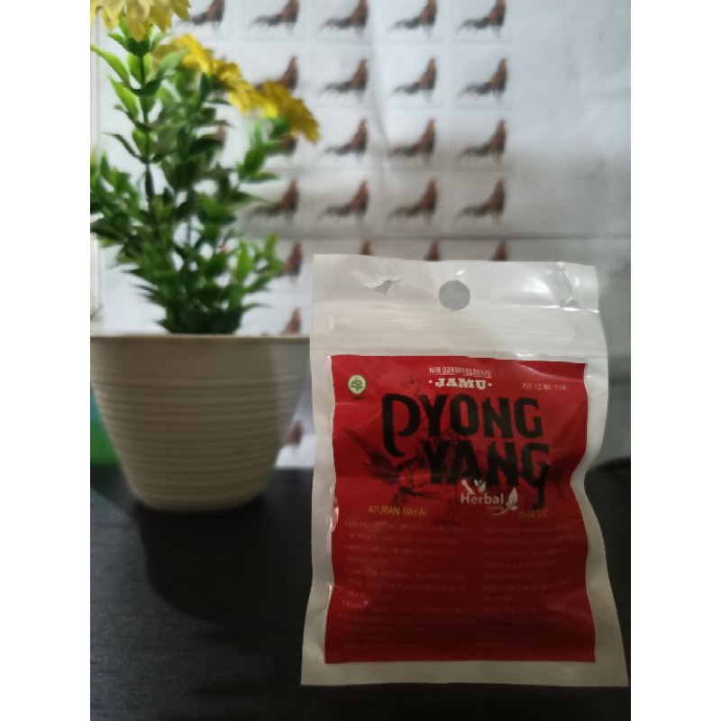 PYONG YANG 100% Jamu ayam laga