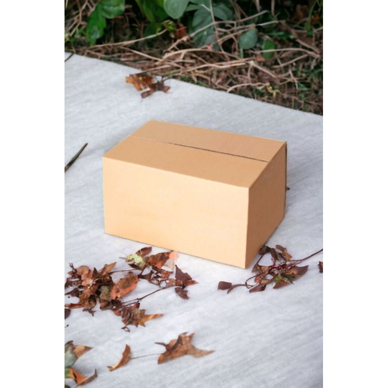 

kardus Box packing polos ukuran 15×10×10cm