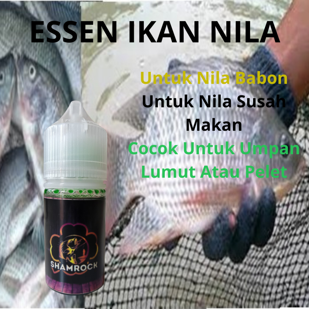 Essen Ikan Nila Terampuh Untuk Nila Babon Dan Susah Makan - Essen Ikan Nila Umpan Lumut Dan Pelet