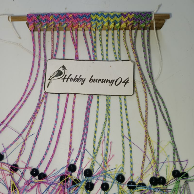 TALI BURUNG TIKUKUR /  TEKUKUR TALI BURUNG PRUKUTUT / PRUKUTUT