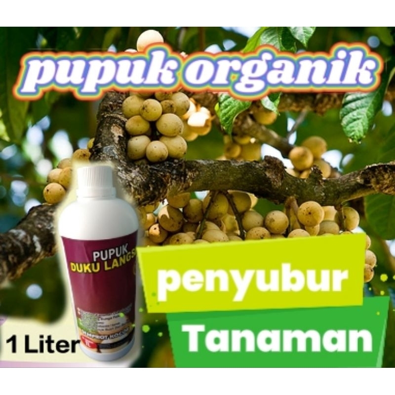 Pupuk Duku Langsap Kokosan 1Ltr Organik Pelebat Buah Besar Manis