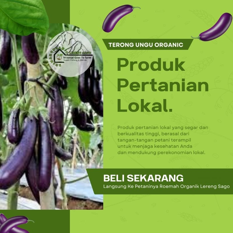 

Terong Organik berat 1 kg