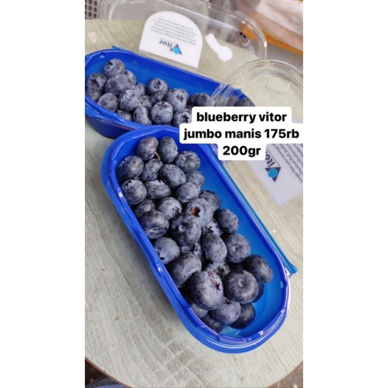 blueberry jumbo manis