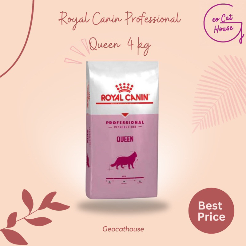 Royal Canin Professional Queen 4 Kg Pro Queen Makanan Induk Kucing Hamil