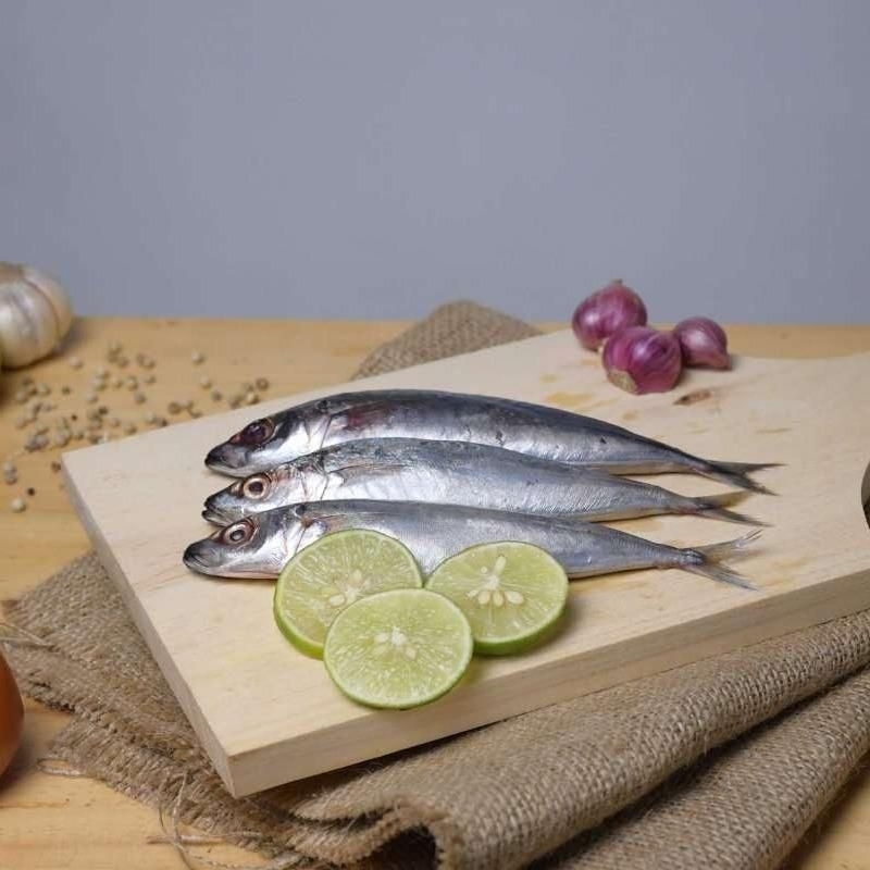 

Ikan layang fresh frozen / utuh / seafood / fish