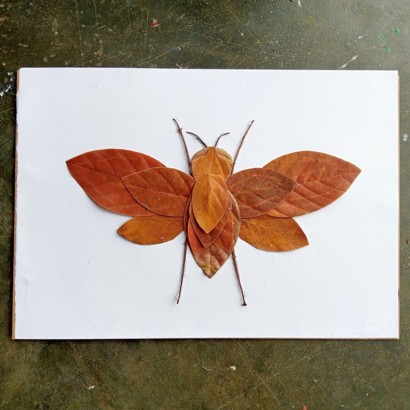 kolase daun kolase kumbang kerajinan kolase