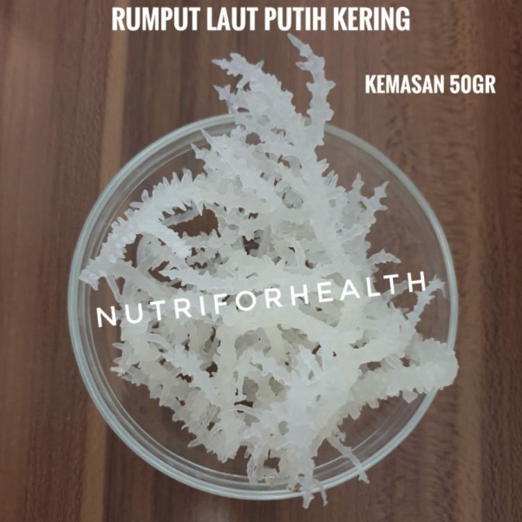 

Terkini (50gr) Rumput Laut Putih Kering untuk campuran Dessert atau agar